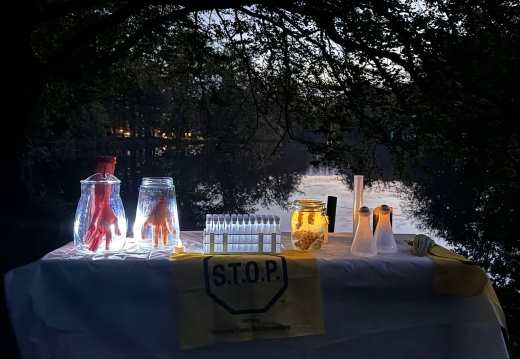 126c2ada-f5ec-41e3-94f2-d6d2de6e51f8