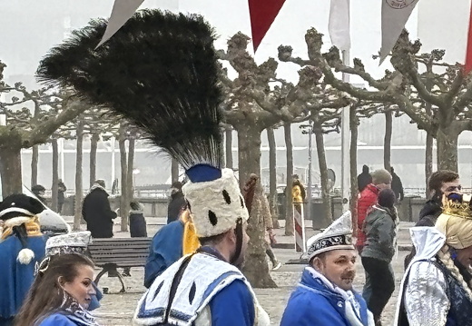 IMG 0594